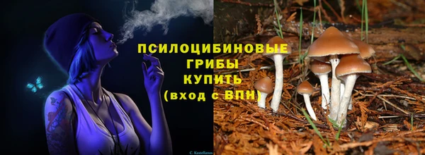 не бодяженный Абаза