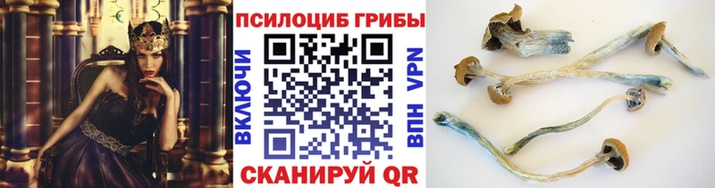 Псилоцибиновые грибы ЛСД  Ковров 
