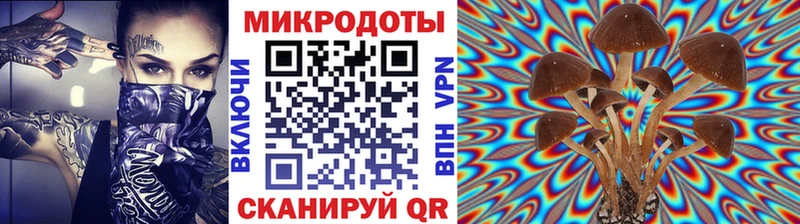 Псилоцибиновые грибы прущие грибы Ковров